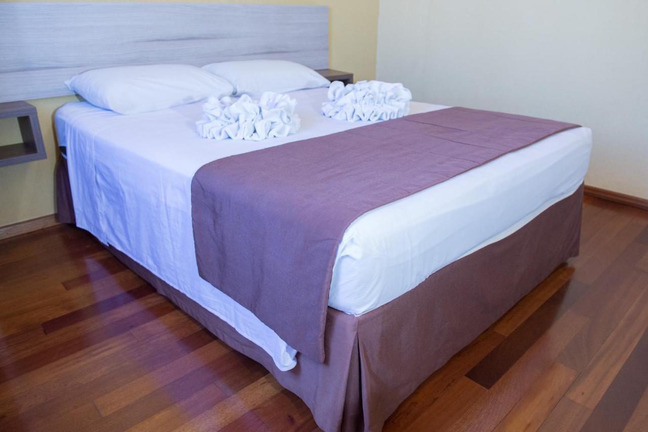 פוז דו איגואסו Villa Iguacu Palace Hotel מראה חיצוני תמונה